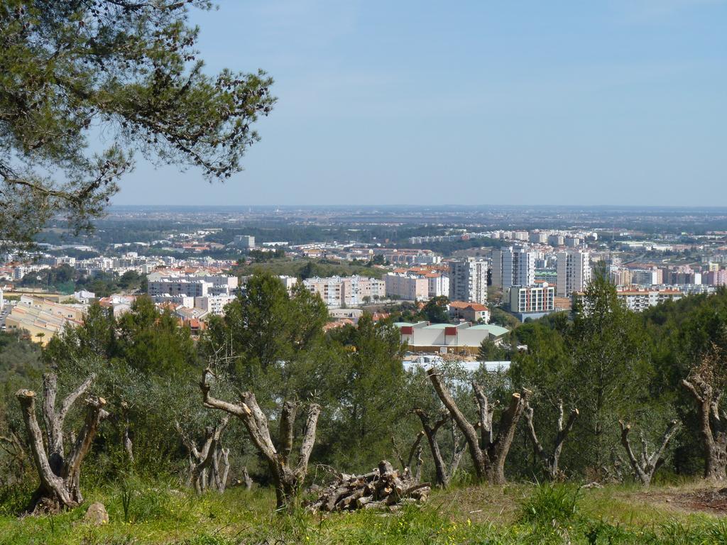 Casal Das Oliveiras Setúbal Kültér fotó